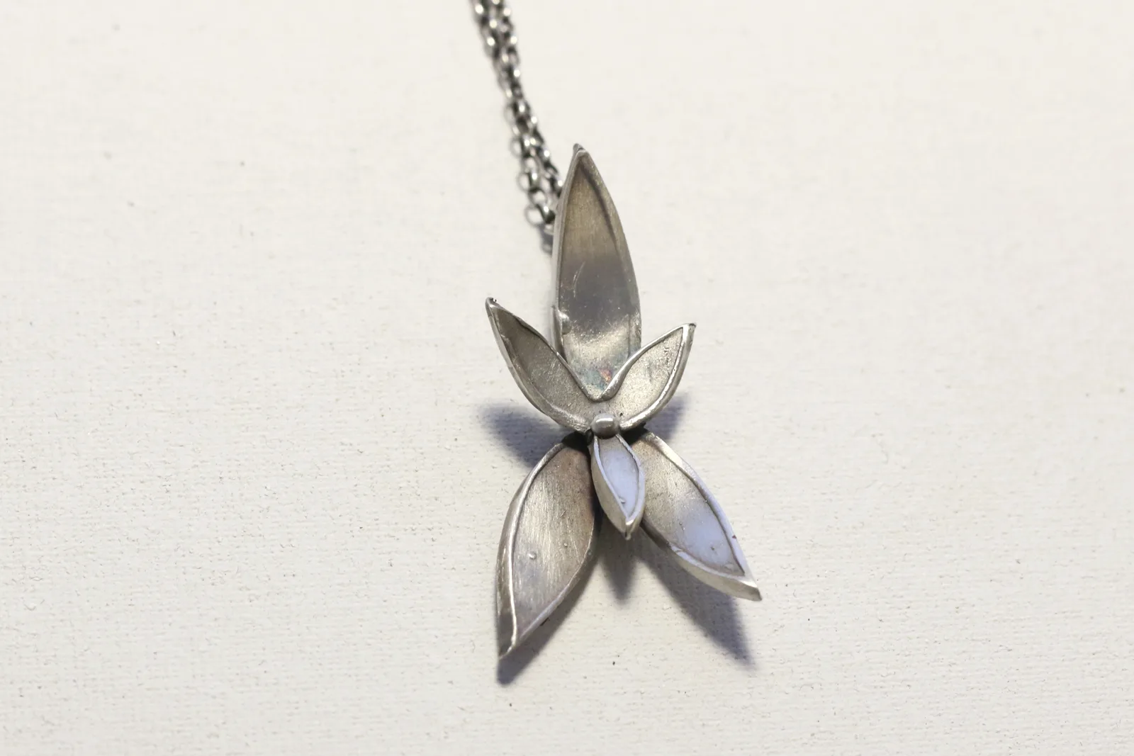 Flor de Argentum – imagen 3