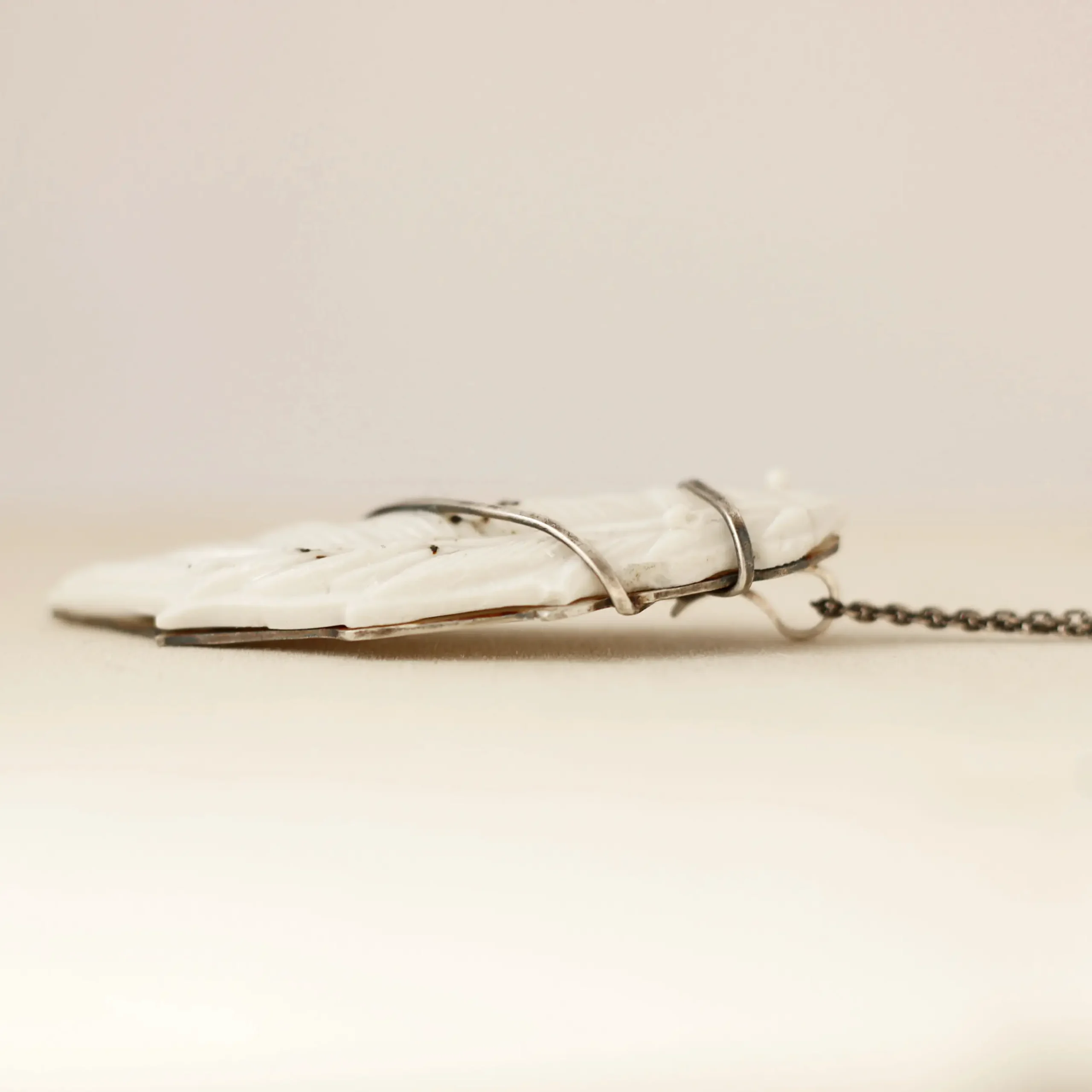 Pluma voladora – imagen 4